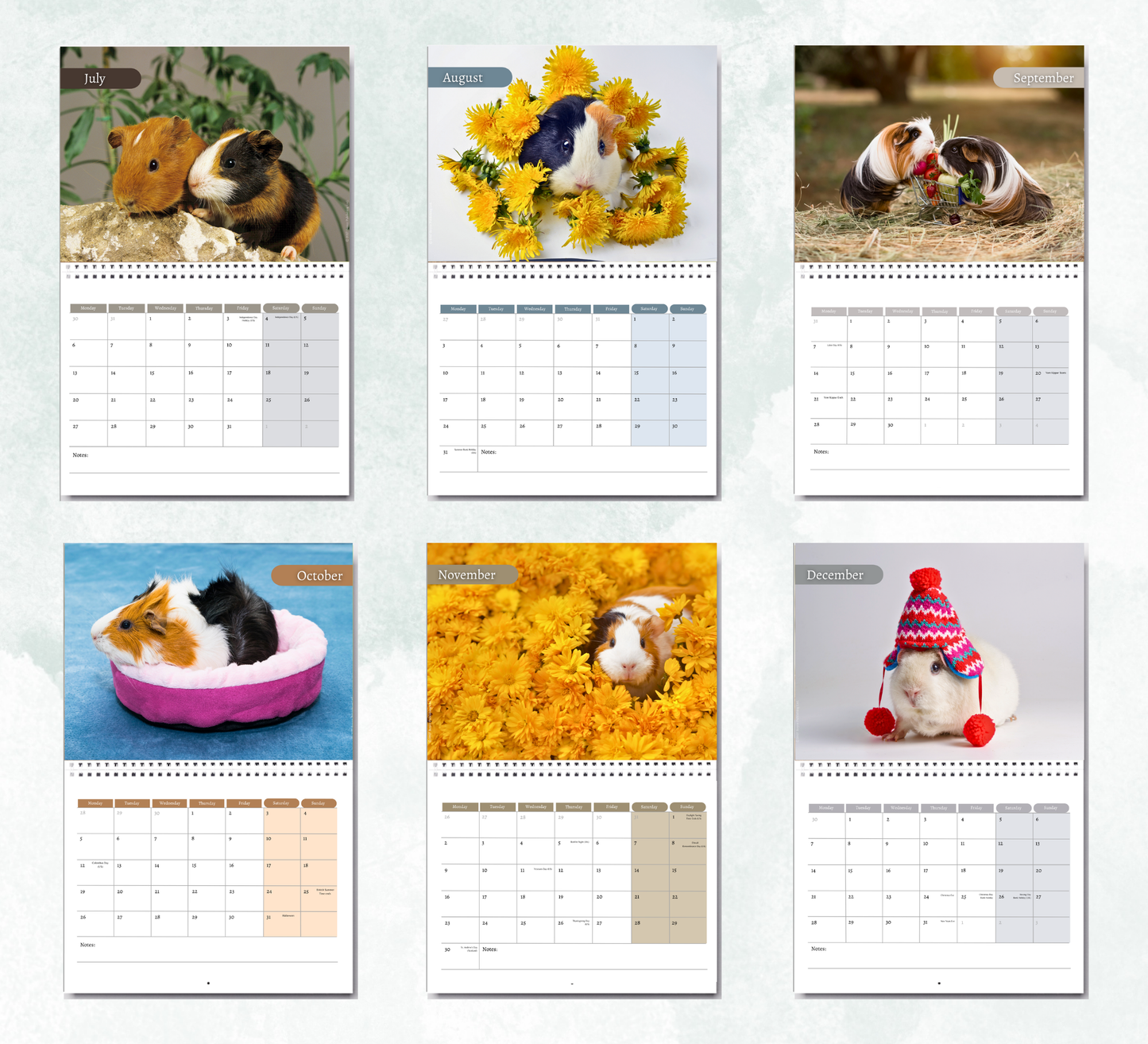 Guinea Pig Calendar 2027