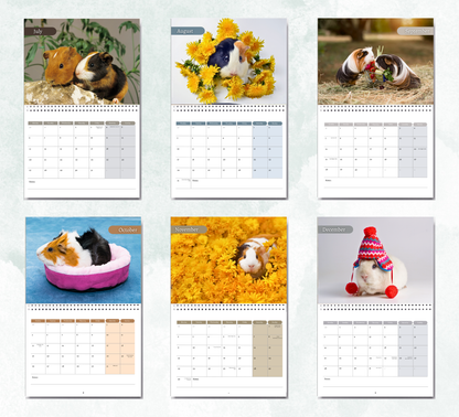 Guinea Pig Calendar 2027