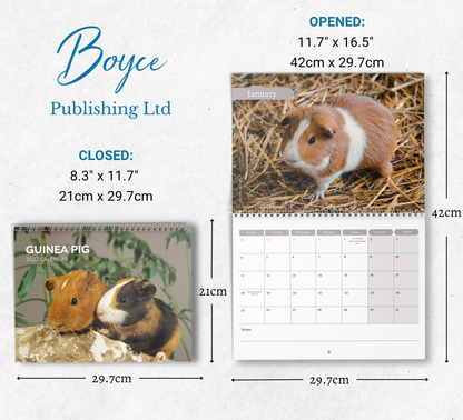 Guinea Pig Calendar 2027