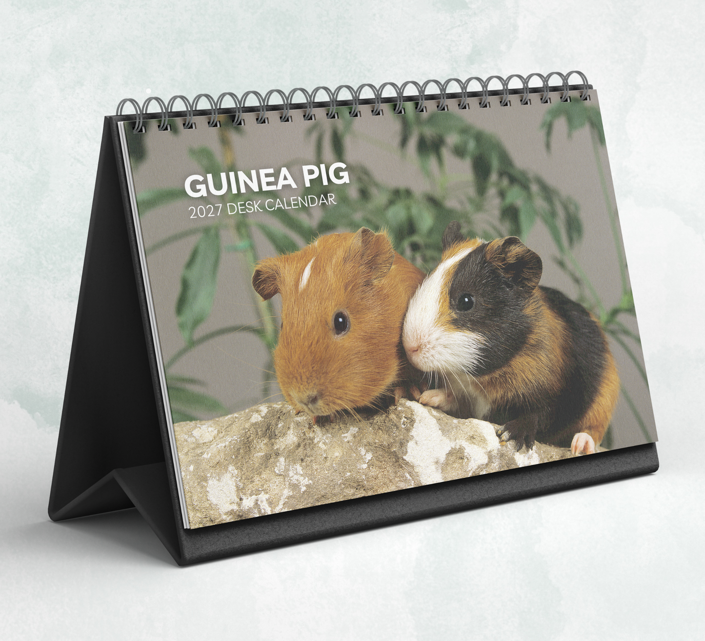 Guinea Pig Desk Calendar 2027-2028