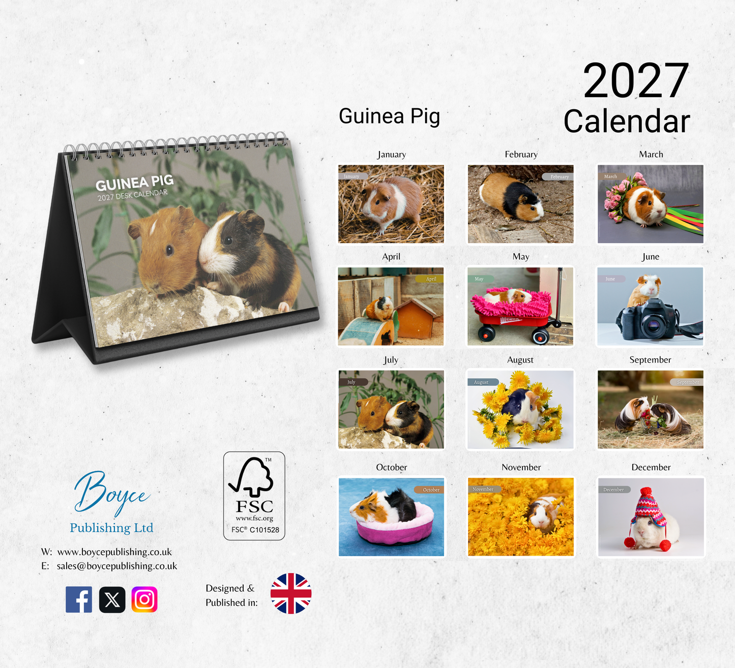 Guinea Pig Desk Calendar 2027-2028