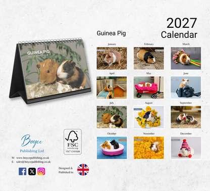 Guinea Pig Desk Calendar 2027-2028