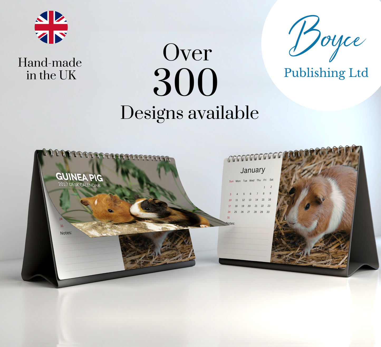 Guinea Pig Desk Calendar 2027-2028