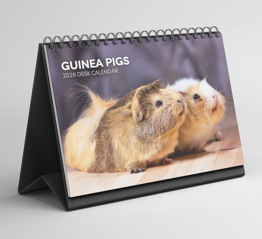 Guinea Pig Desk Calendar 2026-2027