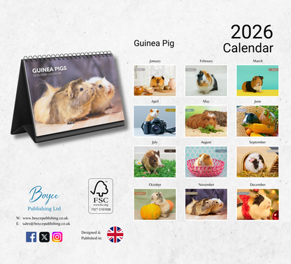 Guinea Pig Desk Calendar 2026-2027