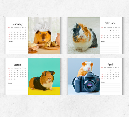 Guinea Pig Desk Calendar 2026-2027