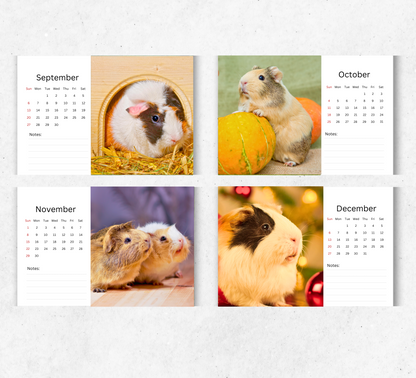 Guinea Pig Desk Calendar 2026-2027