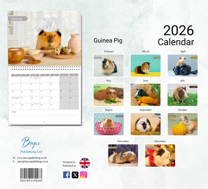 Guinea Pig Calendar 2026