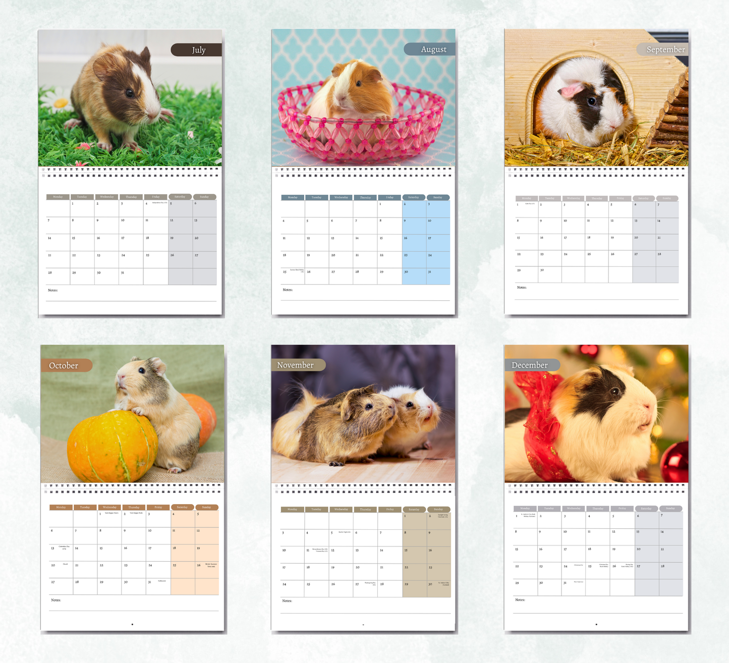 Guinea Pig Calendar 2026
