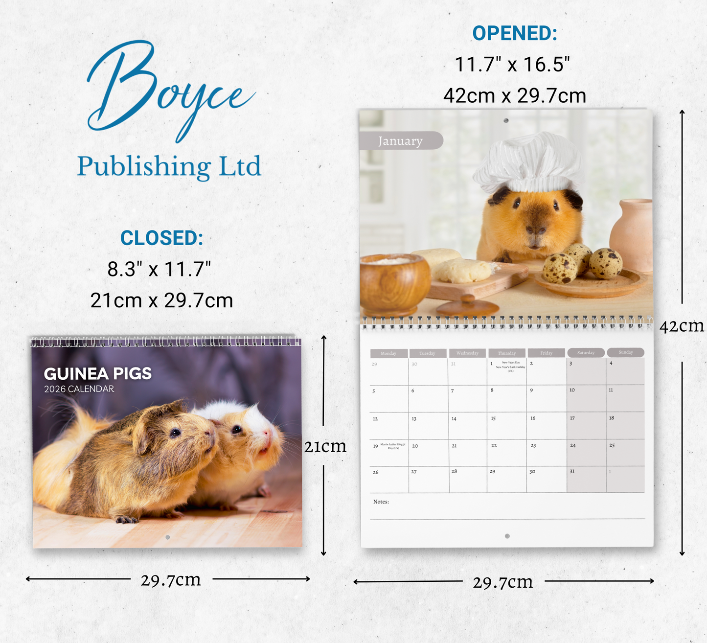 Guinea Pig Calendar 2026