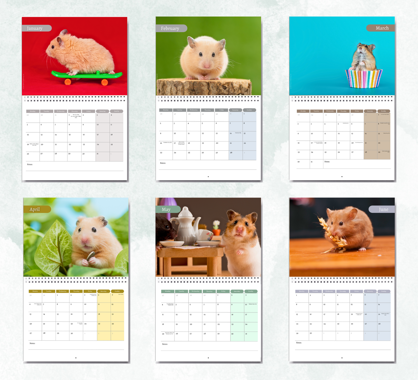 Hamster Calendar 2027