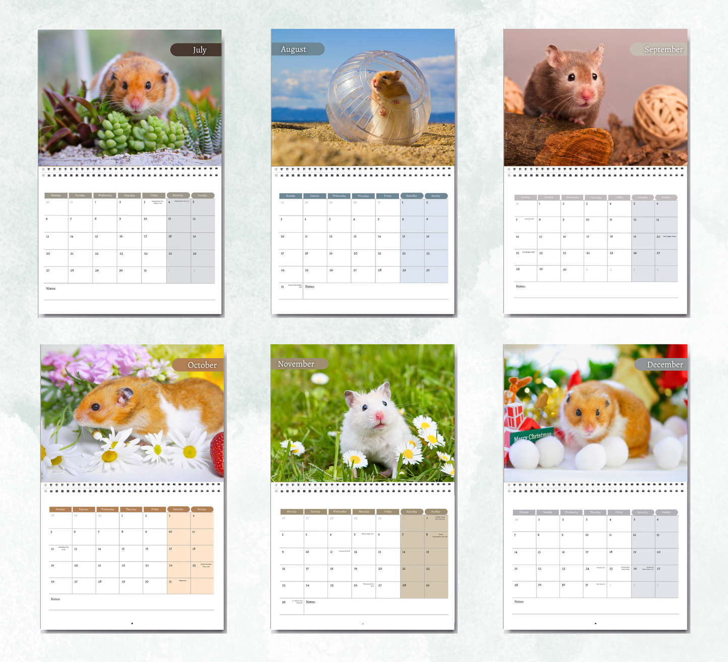 Hamster Calendar 2027