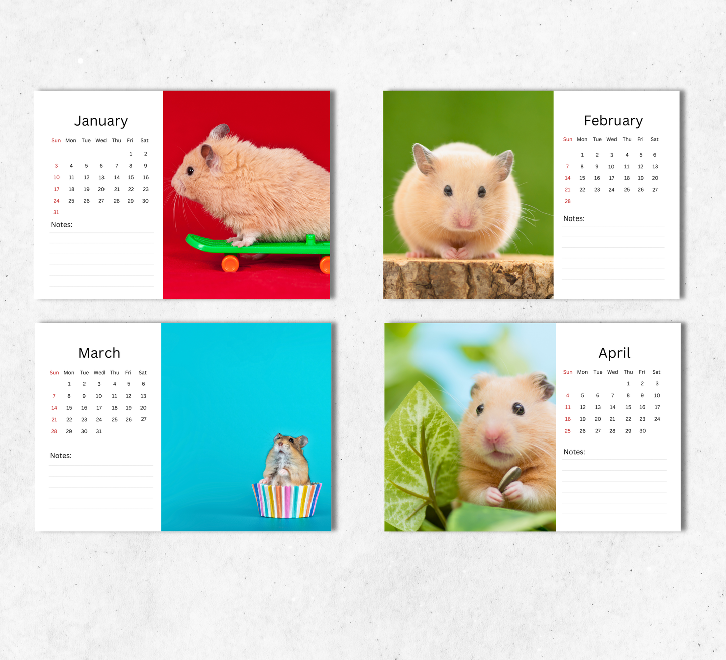 Hamster Desk Calendar 2027-2028