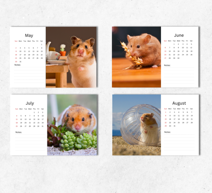 Hamster Desk Calendar 2027-2028