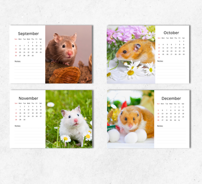 Hamster Desk Calendar 2027-2028