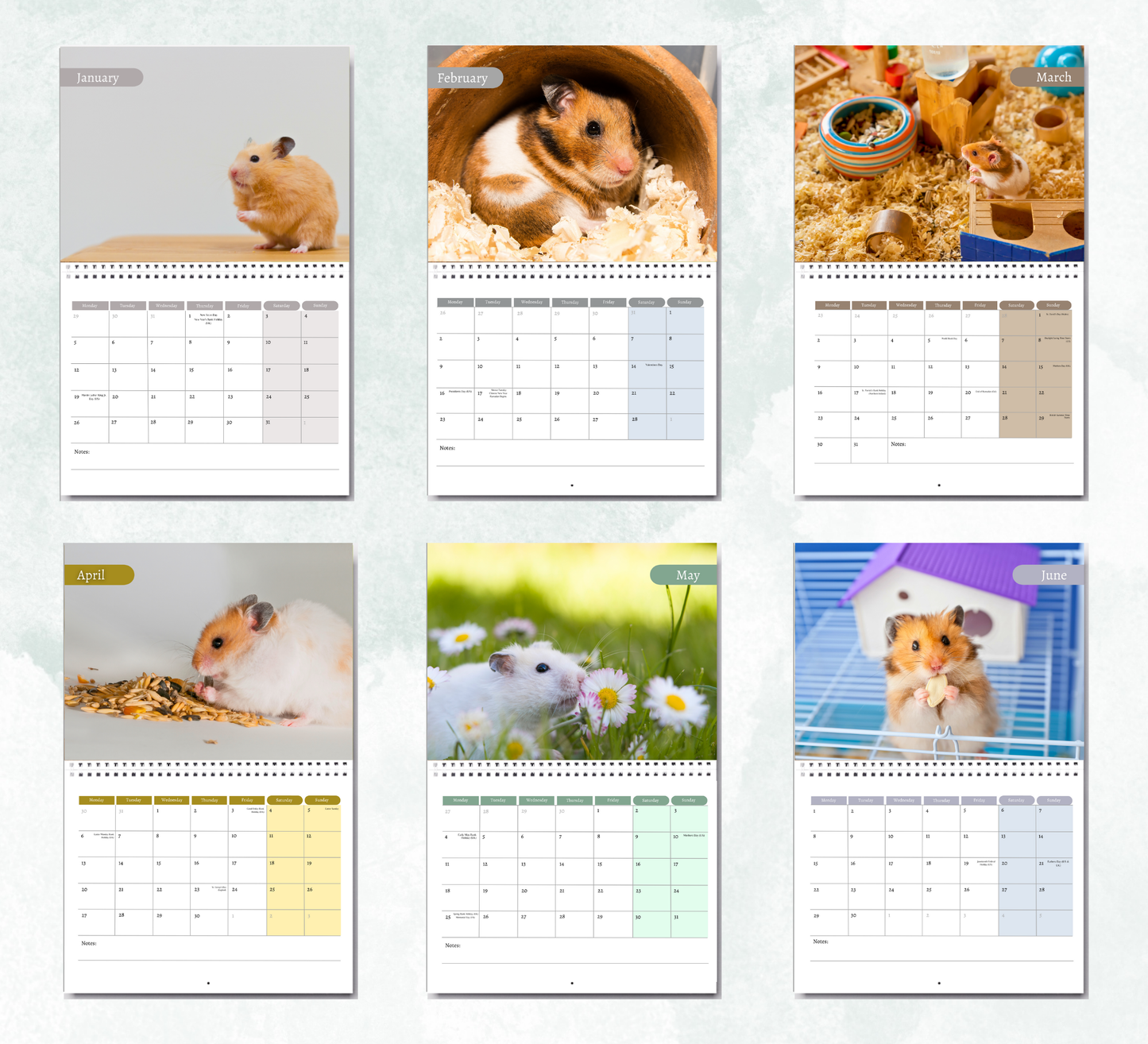 Hamster Calendar 2026
