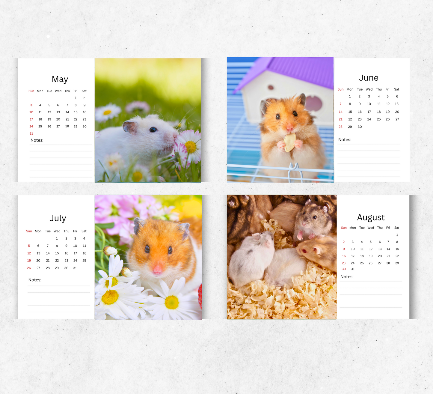 Hamster Desk Calendar 2026-2027