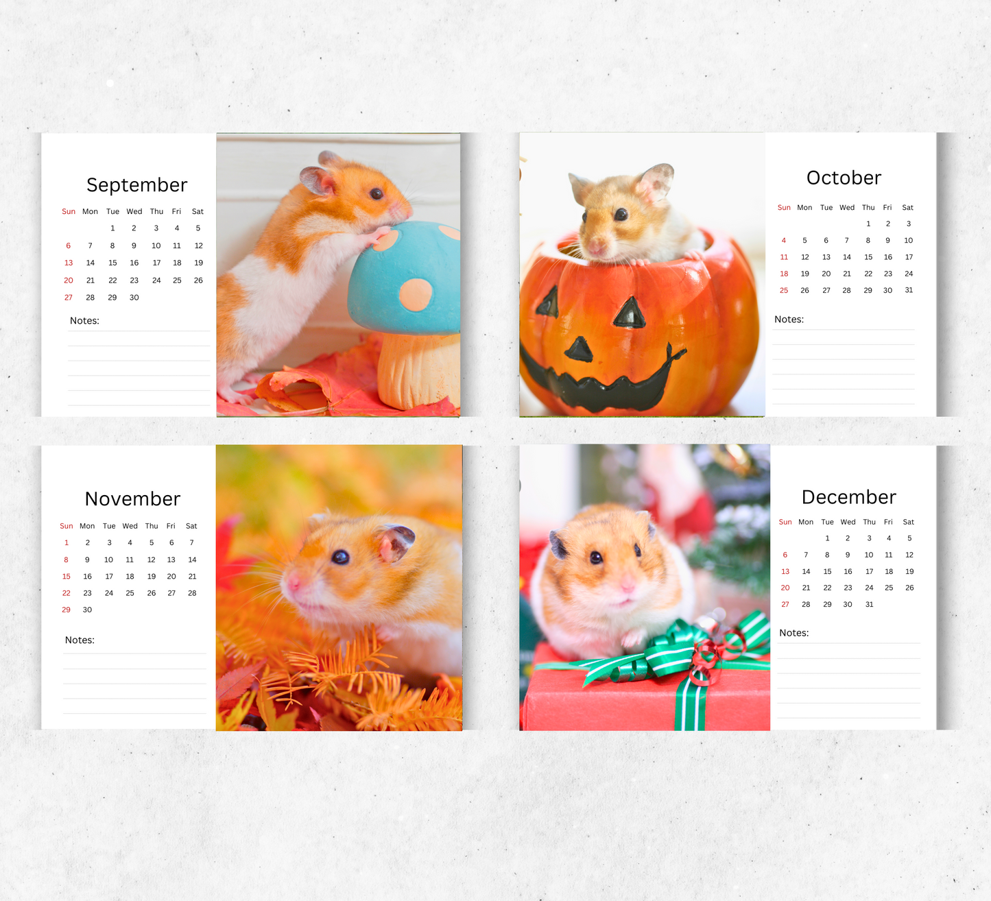 Hamster Desk Calendar 2026-2027
