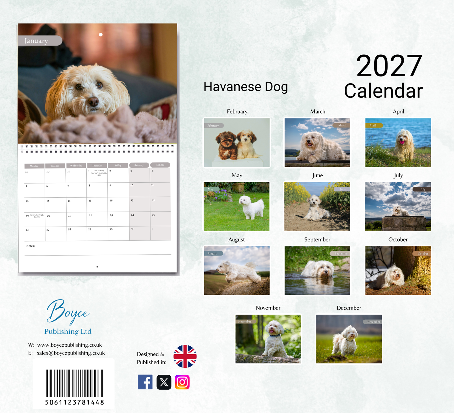 Havanese Dog Calendar 2027