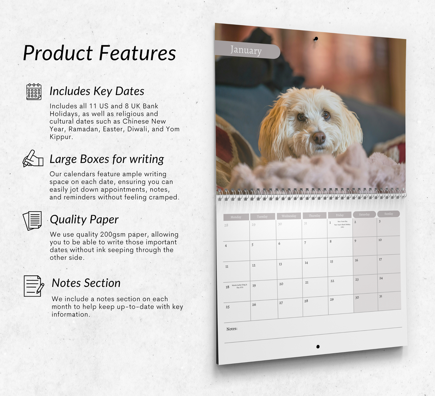 Havanese Dog Calendar 2027