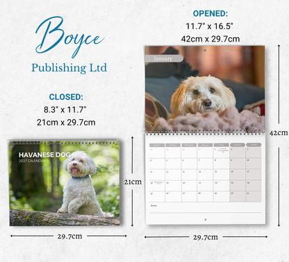 Havanese Dog Calendar 2027