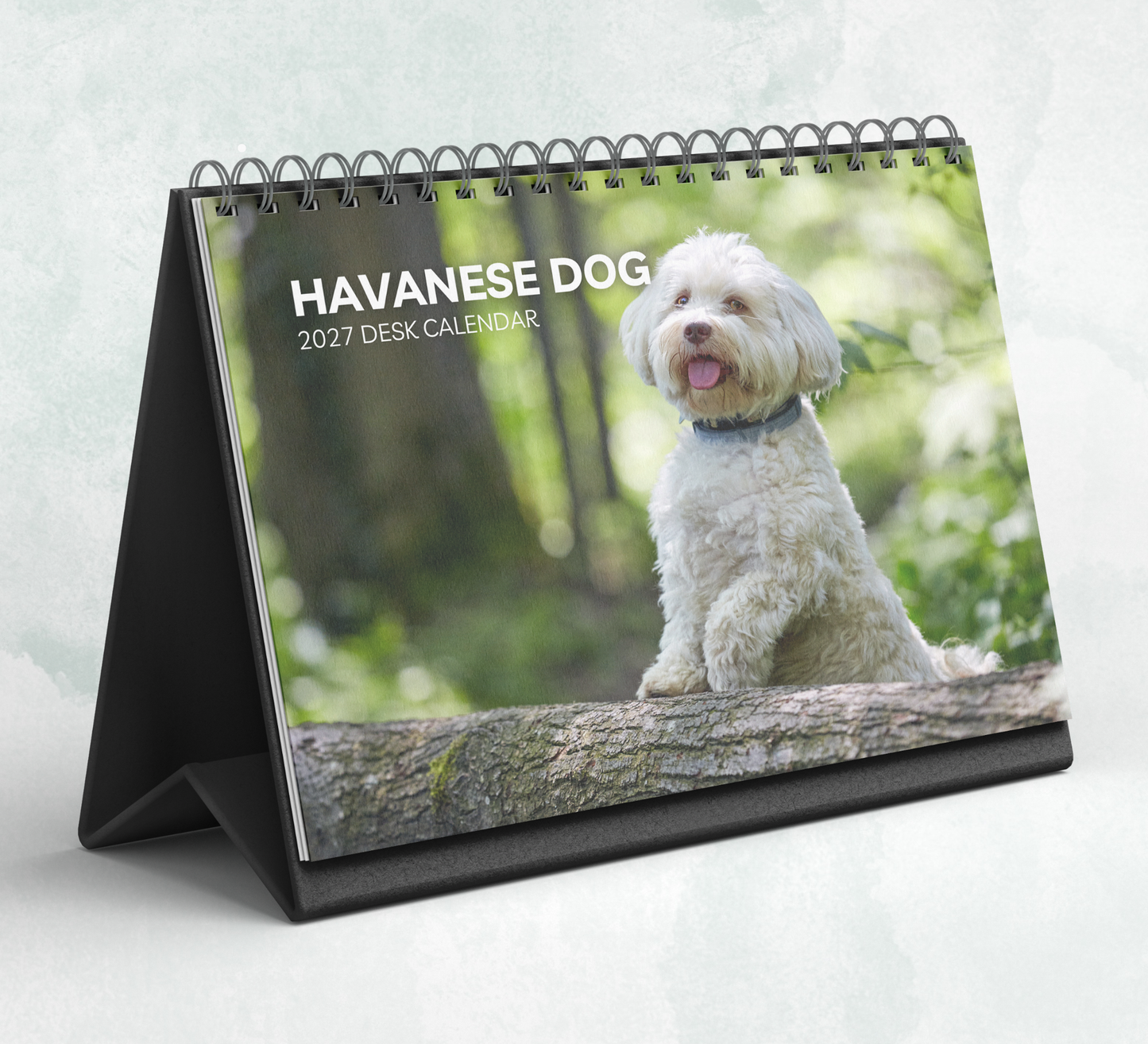 Havanese Dog Desk Calendar 2027-2028