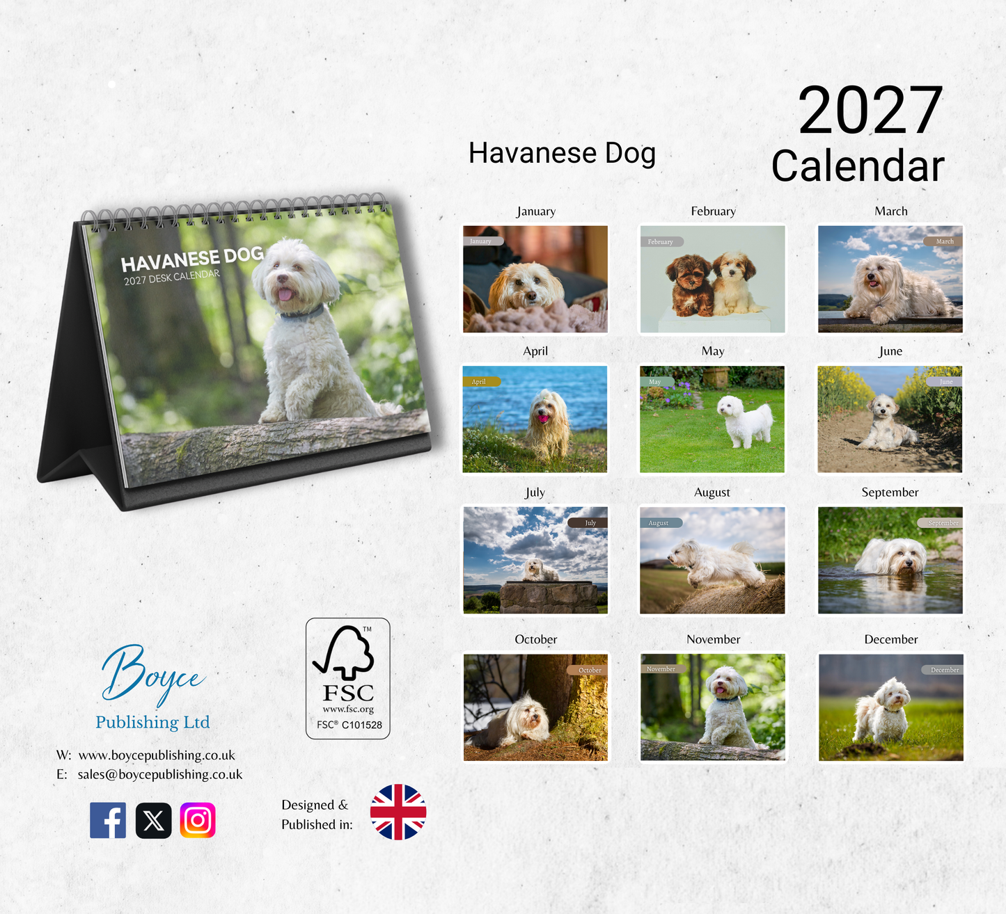 Havanese Dog Desk Calendar 2027-2028