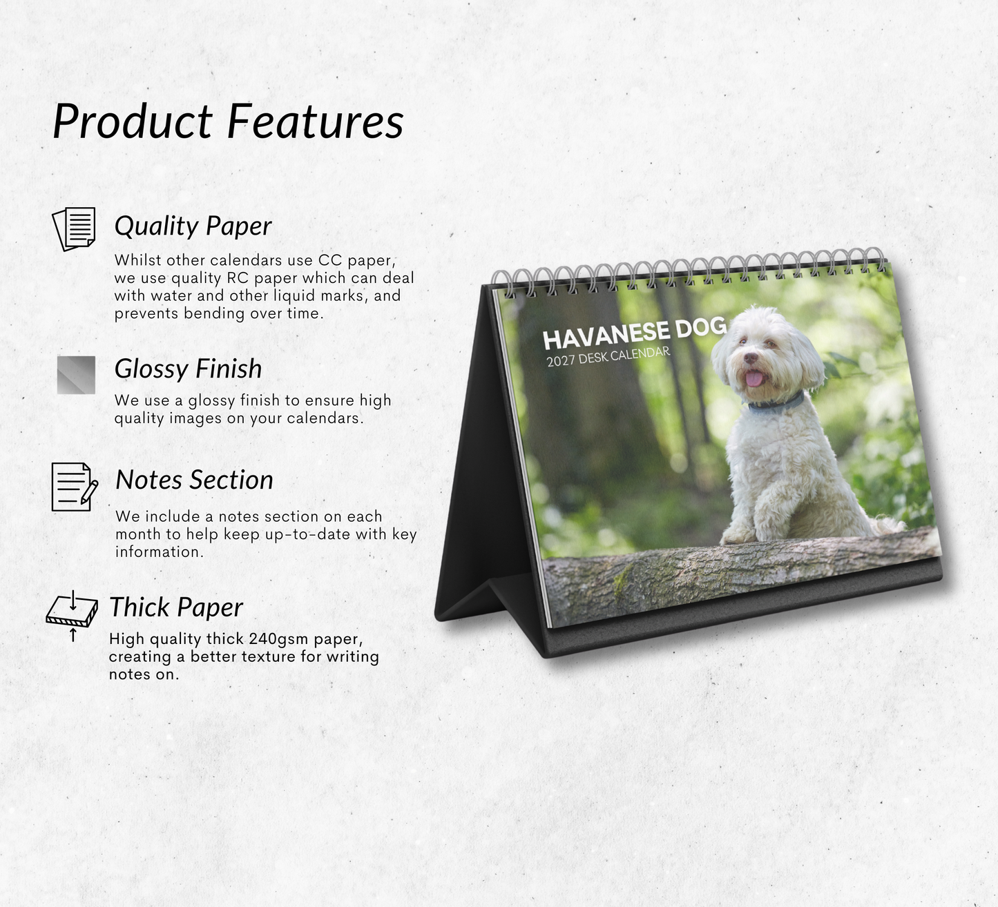 Havanese Dog Desk Calendar 2027-2028