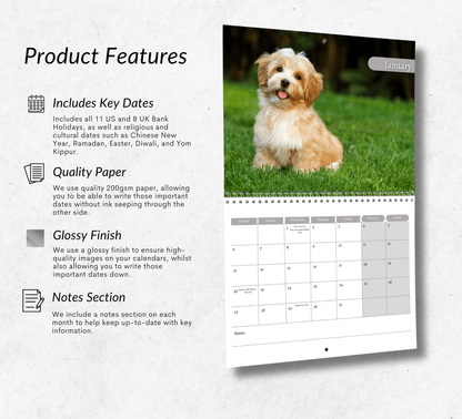 Havanese Dog Calendar 2025