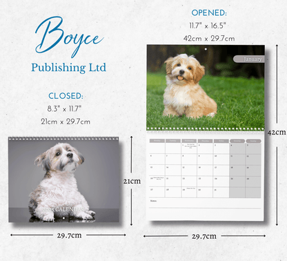 Havanese Dog Calendar 2025