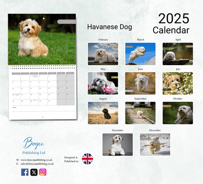 Havanese Dog Calendar 2025