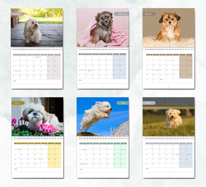 Havanese Dog Calendar 2026
