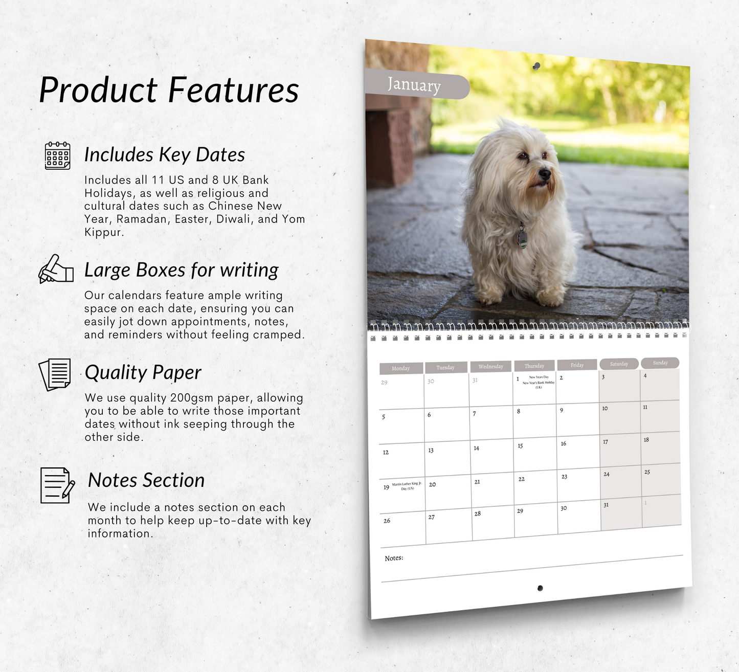 Havanese Dog Calendar 2026