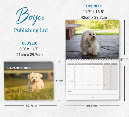 Havanese Dog Calendar 2026