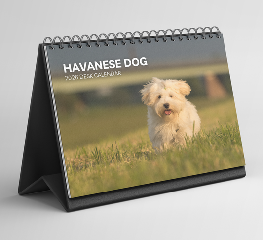 Havanese Dog Desk Calendar 2026-2027
