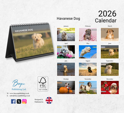 Havanese Dog Desk Calendar 2026-2027