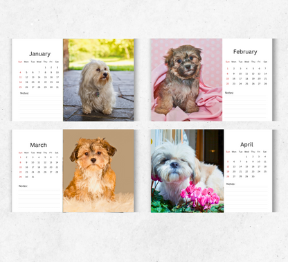 Havanese Dog Desk Calendar 2026-2027