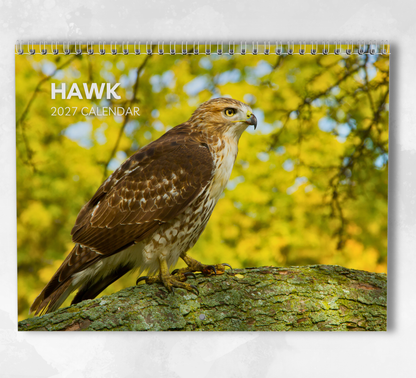 Hawk Calendar 2027