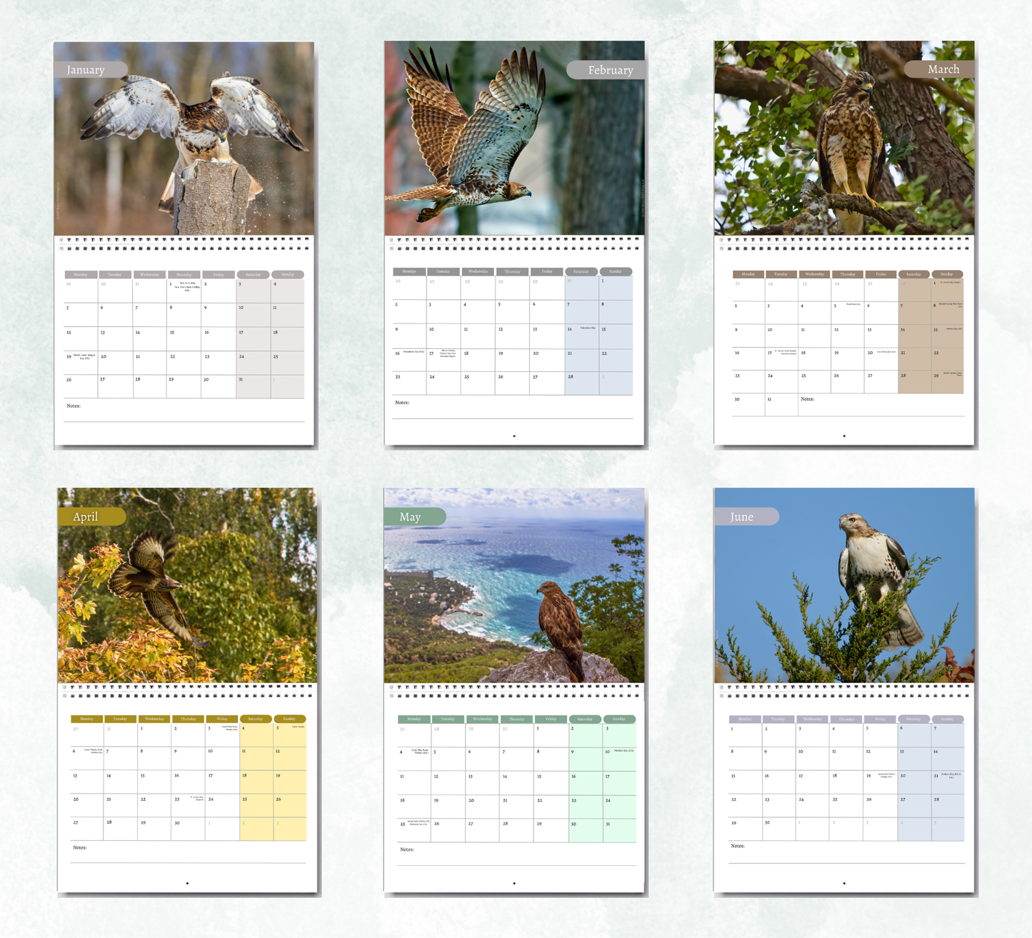 Hawk Calendar 2027