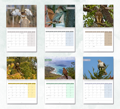 Hawk Calendar 2027