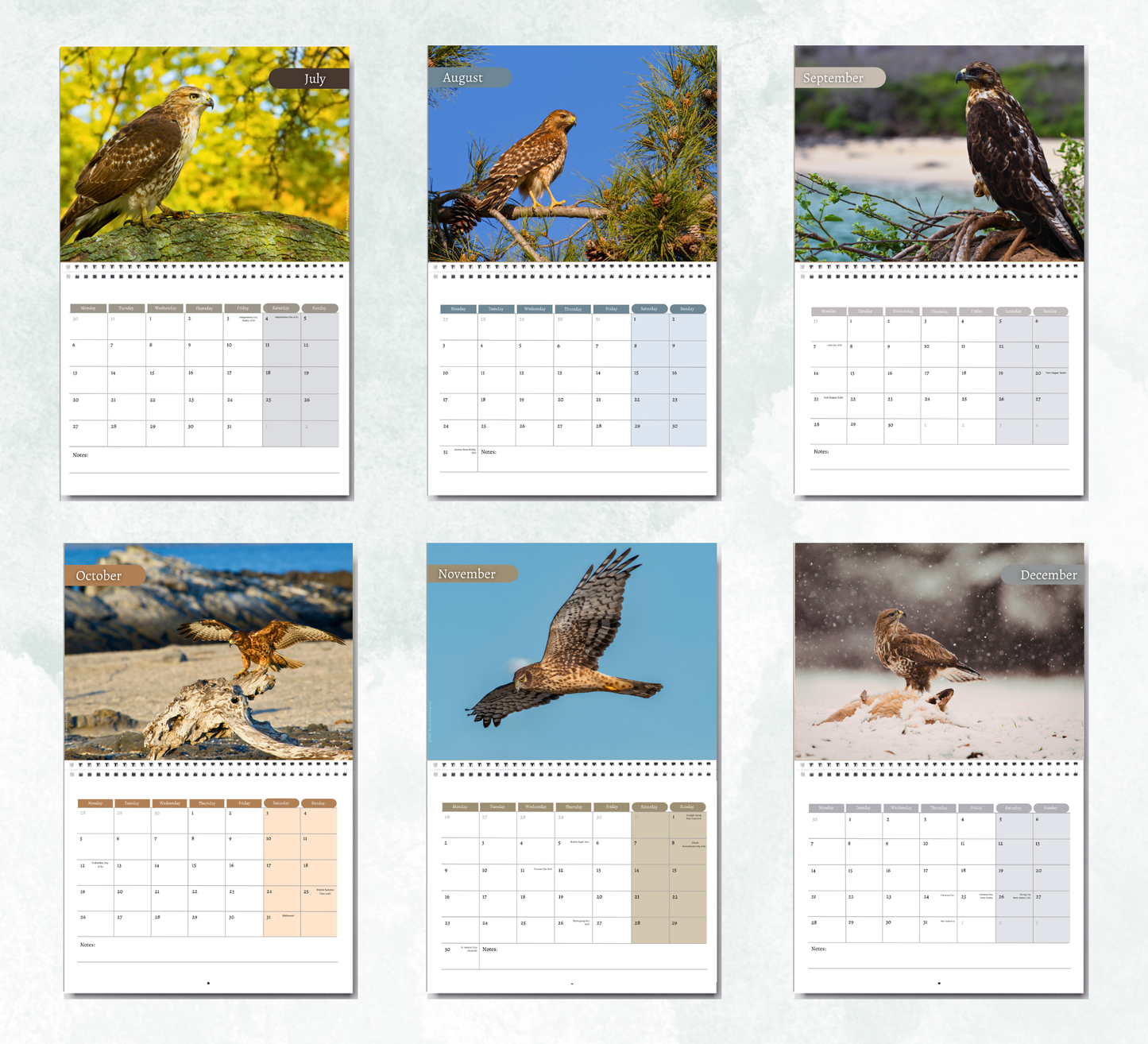 Hawk Calendar 2027