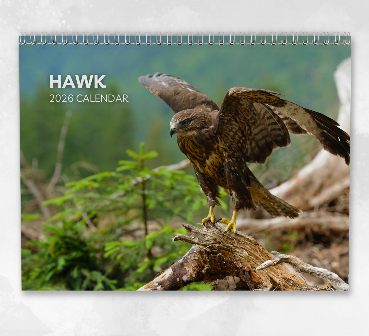 Hawk Calendar 2026