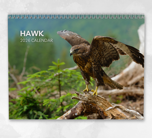 Hawk Calendar 2026