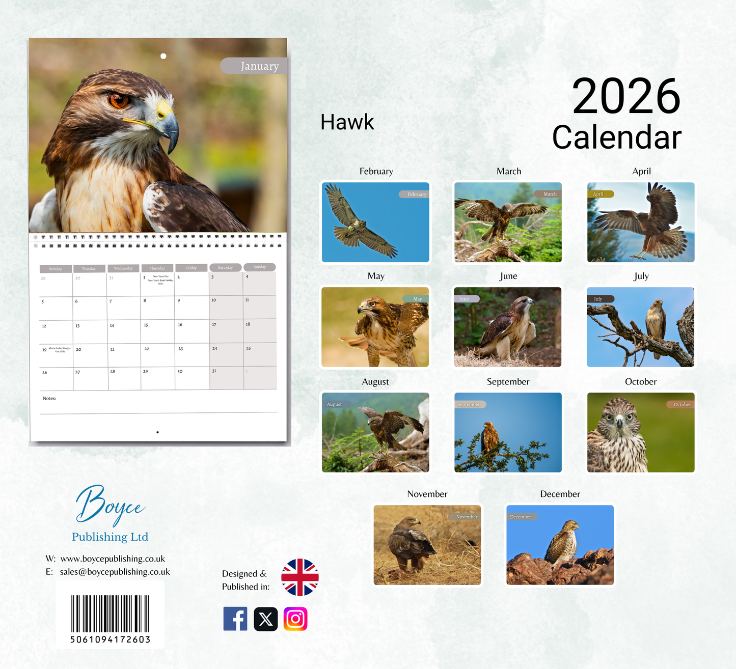 Hawk Calendar 2026