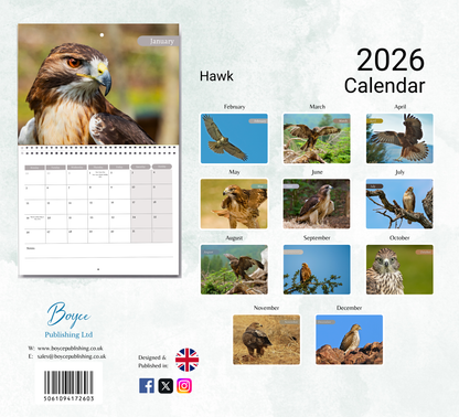 Hawk Calendar 2026