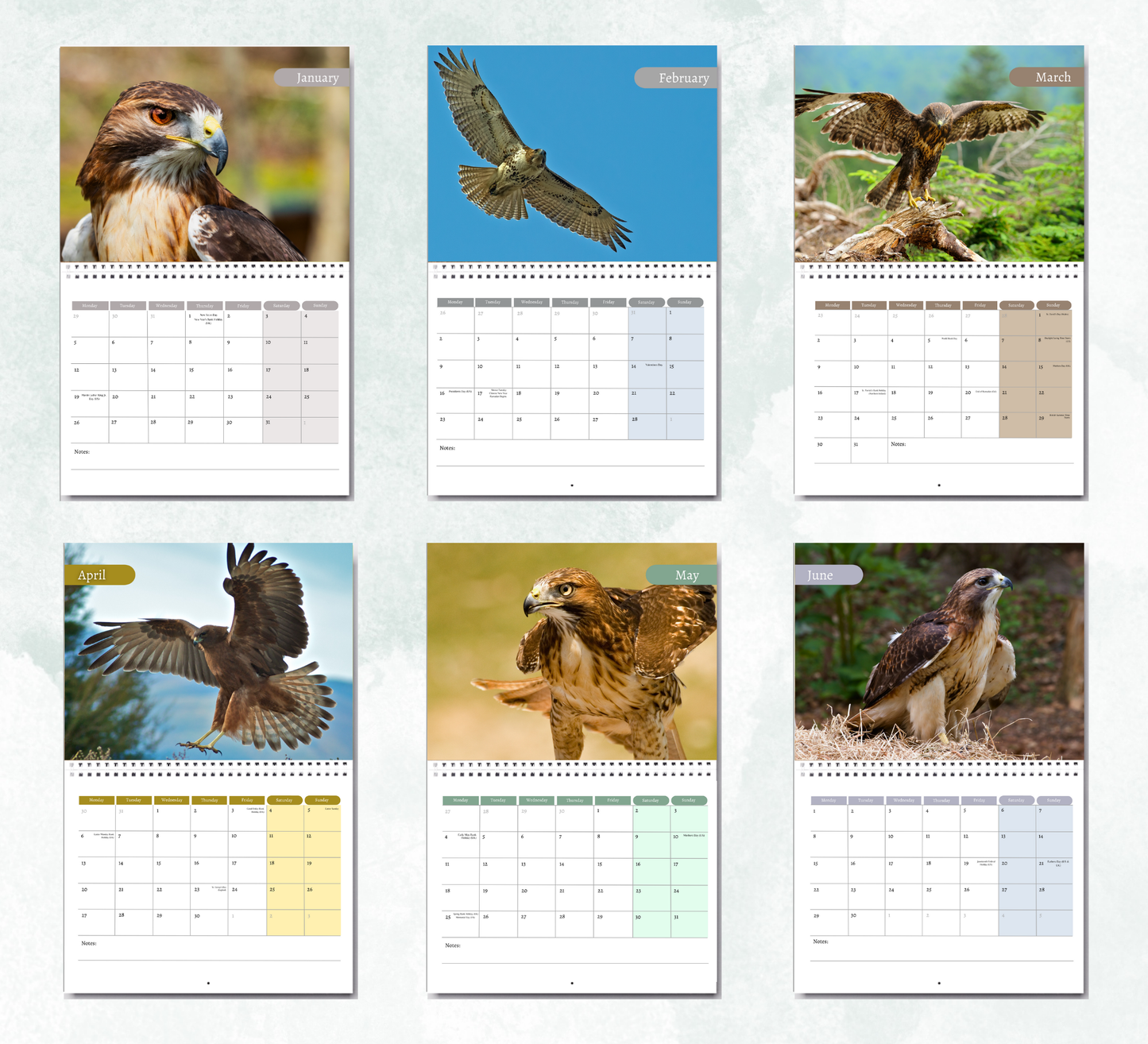 Hawk Calendar 2026