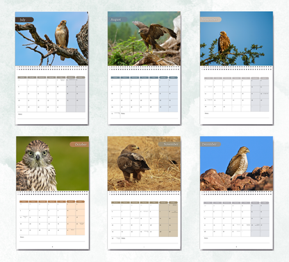 Hawk Calendar 2026