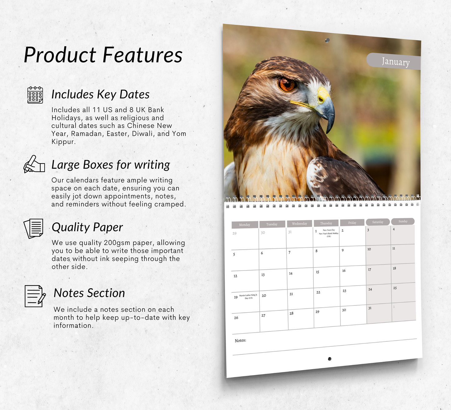 Hawk Calendar 2026