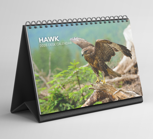 Hawk Desk Calendar 2026-2027