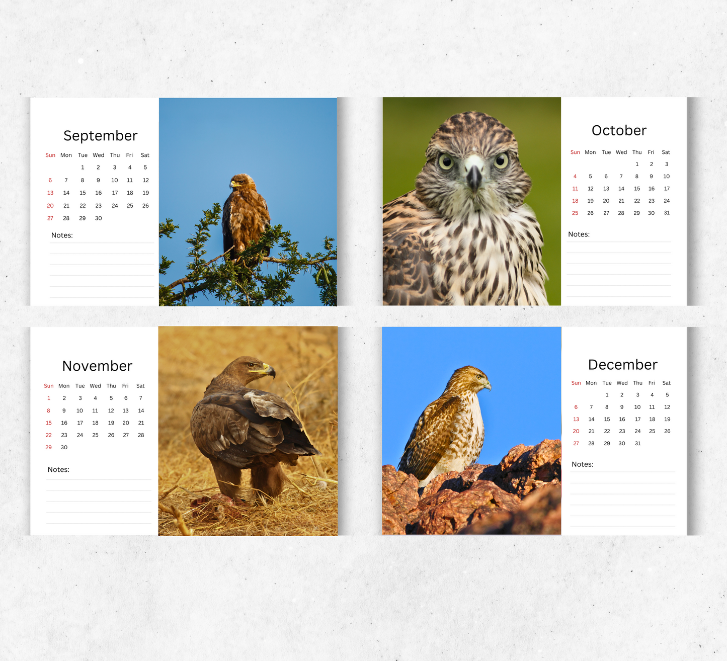 Hawk Desk Calendar 2026-2027